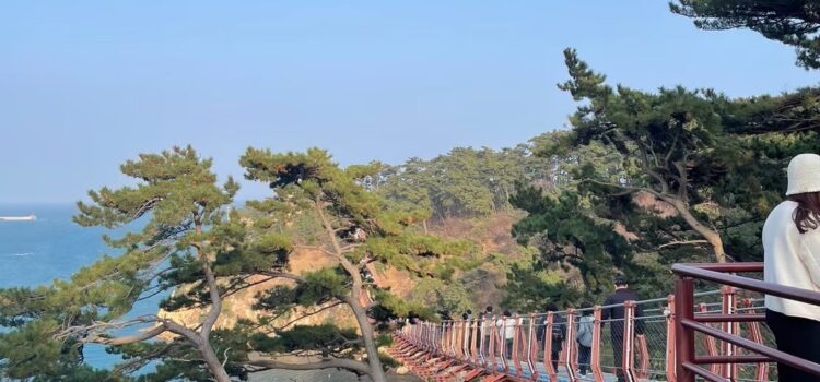 イルサンビーチ 中華料理ディナー 大王岩公園吊り橋 カフェ  蔚山タワーで夜景 – 韓国 蔚山・慶州旅行④